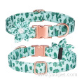 Quick Release Metal Buckle Designer Colorful Collars